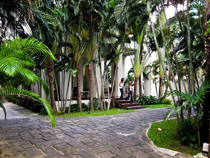 Panburi's hand laid stone driveway is ringed by a variety of tropical palms.